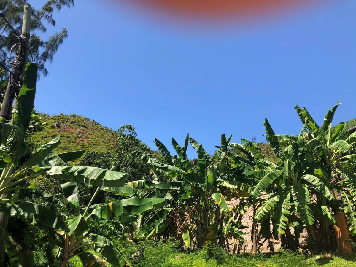 Mirella Villa Island Princess Villa Anse Volbert Village Exterior foto